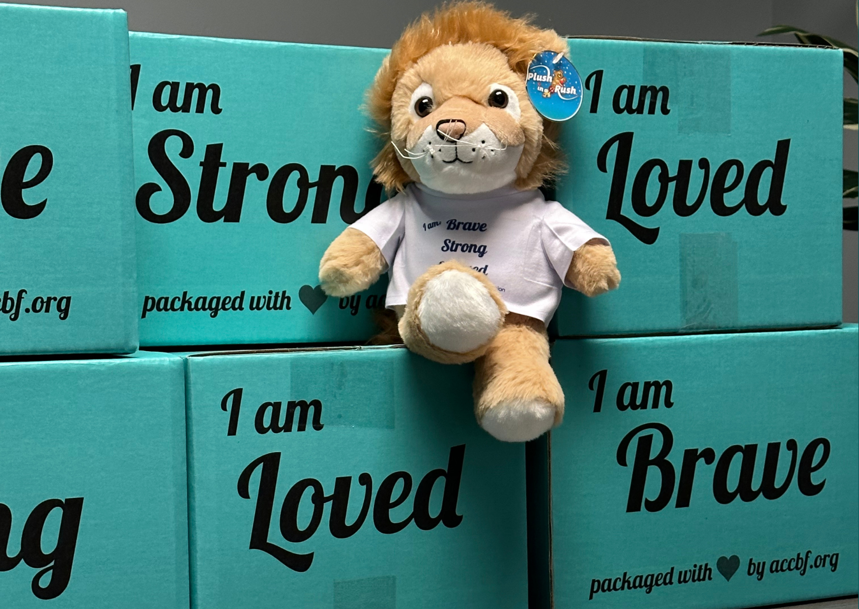 Brave Strong Loved Lion and Boxes